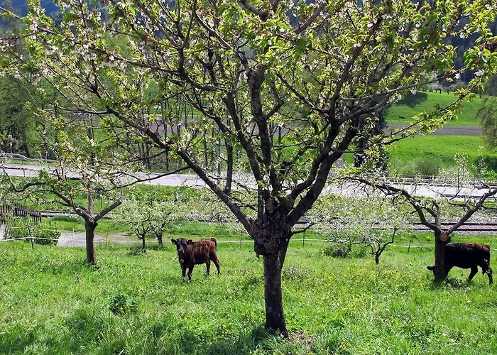 Restaurant L'escale Hotel Verbier