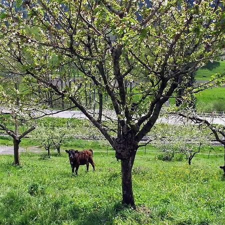 Restaurant L'escale מלון וורבייה